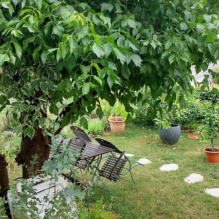Villa Lotte Лихтенфельс Экстерьер фото