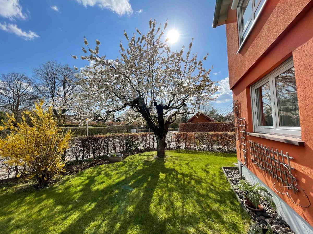 Villa Lotte Лихтенфельс Экстерьер фото